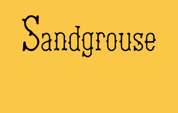 Sandgrouse Font: A Stylish Typeface for Editorial Design